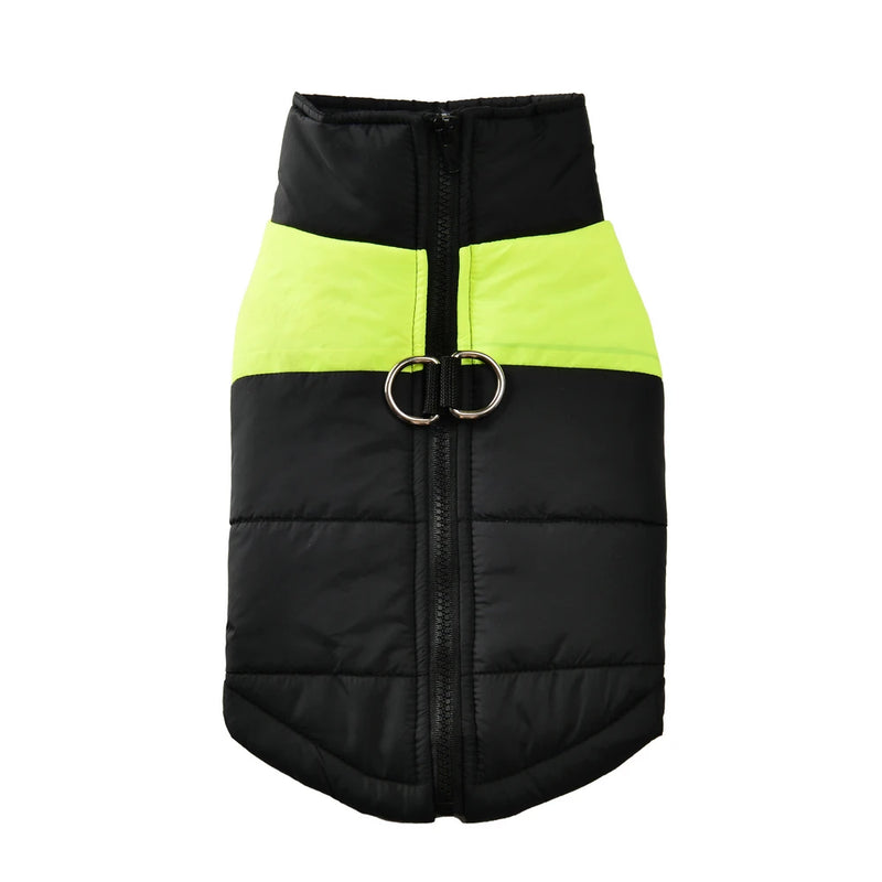 Manteau Hiver Chien Grande Taille Coupe-Vent Zippé