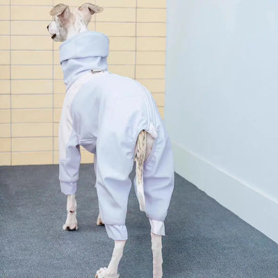 Manteau Intégral 4 Pattes à Capuche Lévrier Whippet
