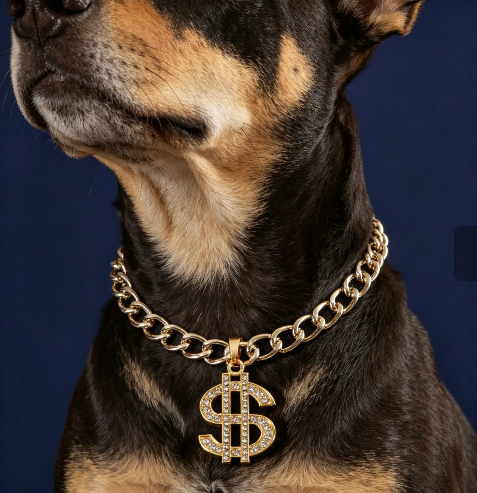 Collier Chaîne Cubaine Dorée Gros Chien