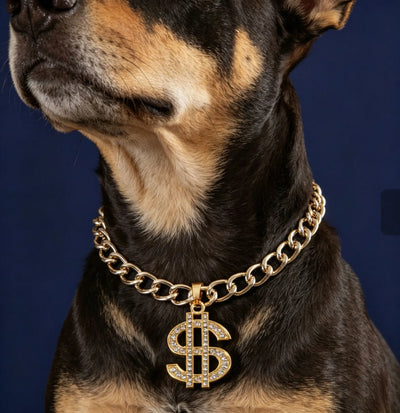 Collier Chaîne Cubaine Dorée Gros Chien