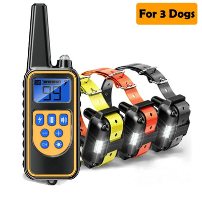 Collier Dressage LCD 800m Étanche Gros Chien