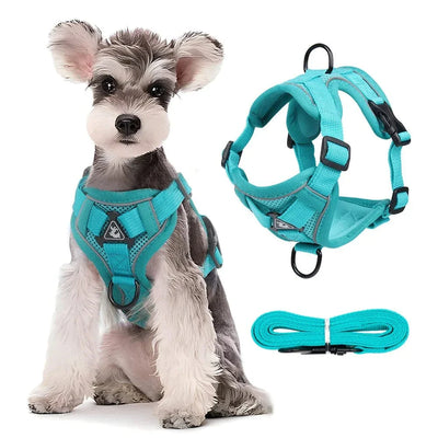 https://cdn.shopify.com/s/files/1/0489/2898/1148/files/Sbf388a21afc442cba25bbac2ff3c2817e.webp?v=1742913946