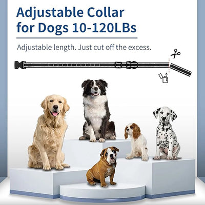Collier Électrique de Dressage 1500 m Appel Vocal IP67 Chien