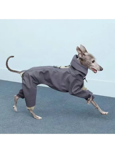 Manteau Intégral 4 Pattes à Capuche Lévrier Whippet