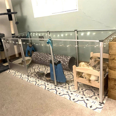 Enclos pour Chien Acrylique Transparent avec Tapis Lavable