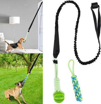 Jouet de Traction Élastique à Suspendre pour Chien