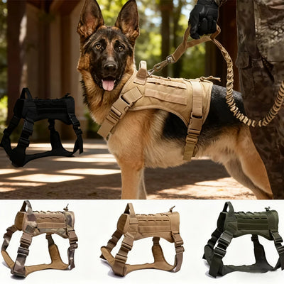 Harnais Tactique Rembourré à Dégagement Rapide pour Grand Chien