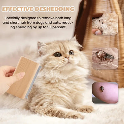 Brosse Anti-Perte de Poils pour Chien Petit et Grand Format