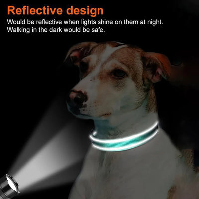 Collier Porte-AirTag Rembourré pour Chien