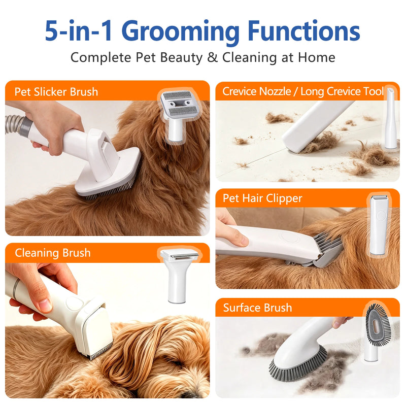 Aspirateur de Toilettage Chien 5 en 1, Bac 2 L