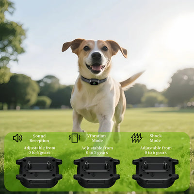 Collier Anti-Aboiement Automatique Rechargeable Gros Chien