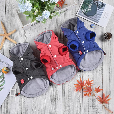 Manteau Coupe-Vent à Capuche pour Chien Petit à Grand