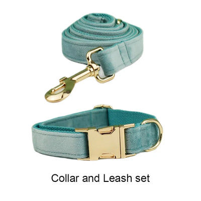 Collier et Laisse Velours Vert Plaque Gravée Chien