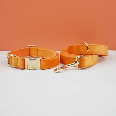 Collier et Laisse Velours Orange Personnalisé Chien