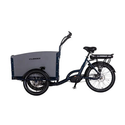 Remorque Électrique Vélo Grand Chien 36V 250W