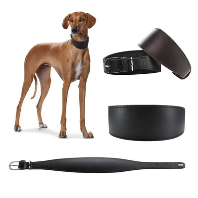 Collier Cuir Large Anti-Traction pour Grand Chien