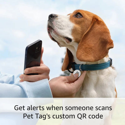 Médaille QR Code Chien en Métal Sans Abonnement