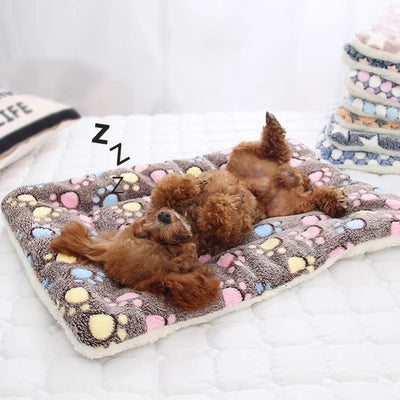 Coussin Chien Flanelle Epaisse Moelleux