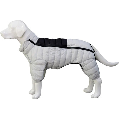 Manteau Doudoune Coton Gros Chien Hiver Coupe-Vent