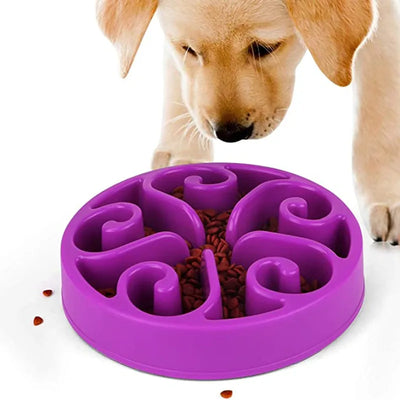 Gamelle Anti-Glouton Grande Taille 30 cm ou 20 cm Gros Chien