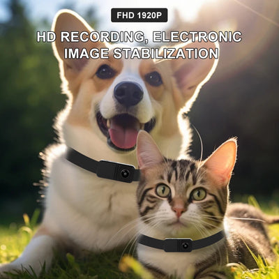 Caméra pour Chien Portable HD 1080P Sans WiFi