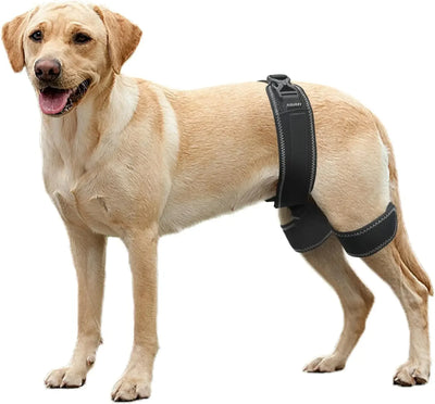 Orthèse Hanche Gros Chien Dysplasie Support