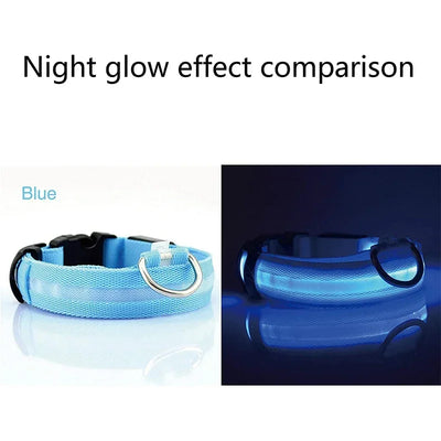 Collier LED Veilleuse Rechargeable pour Chien