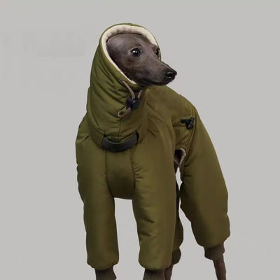 Manteau Hiver Doudoune Gros Chien Whippet Greyhound