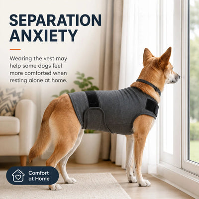 Enveloppe Apaisante Anti-Stress Coton Réglable pour Chien