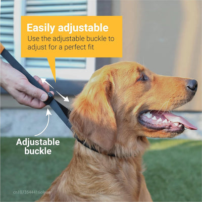 Collier à Dents Anti-Traction Noir Embouts Silicone Grand Chien