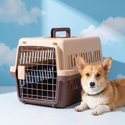 Cage de Transport Chien Avion Portable Aérée