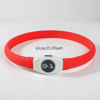 Collier LED Étanche USB pour Chien