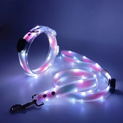 Collier et Laisse LED Lumineux pour Chien