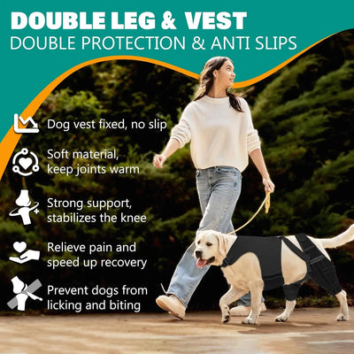 Attelle Chien Double Jambe Anti-Glissement Pattes Arrière
