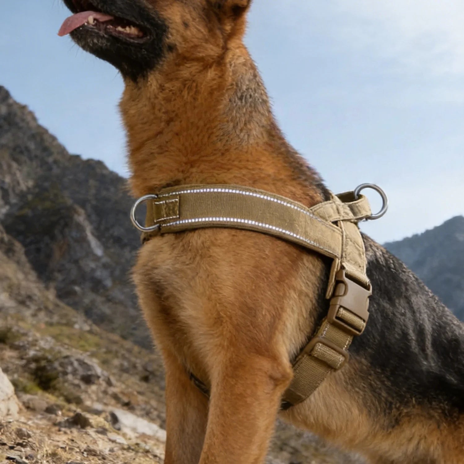 Harnais Tactique Anti-Traction Chien Grande Race