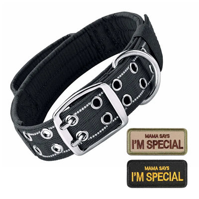 Collier Tactique Militaire Poignée Gros Chien