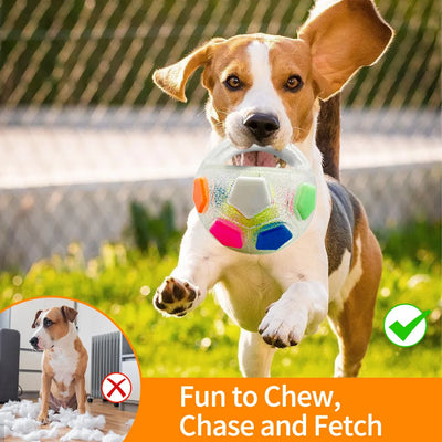 Balle Tennis Football Couineuse Gros Chien
