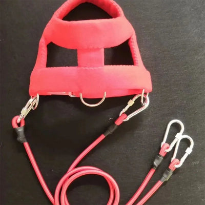 Harnais de Traction Pitbull Plastron Rembourré Corde Élastique