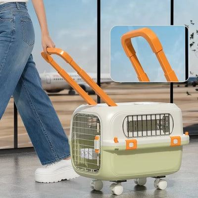 Cage de Transport Chien à Roulettes Poignée Télescopique