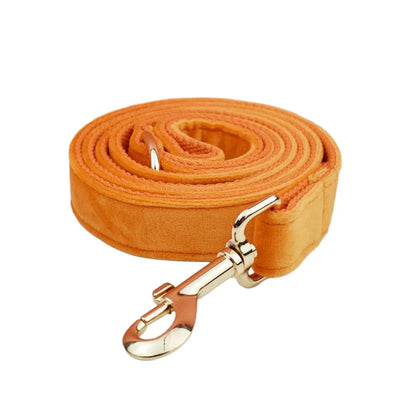 Collier et Laisse Velours Orange Personnalisé Chien