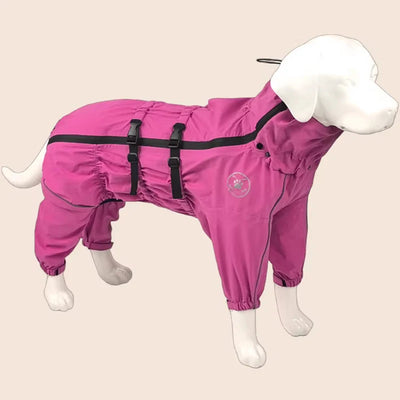 Manteau Pluie Réfléchissant Combinaison Gros Chien