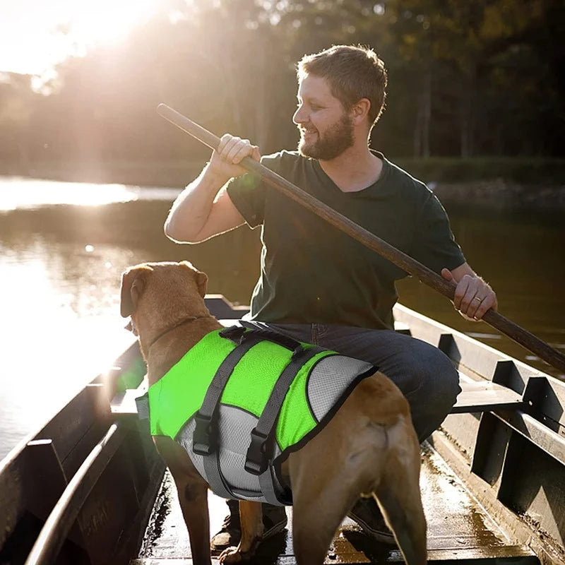 Gilet de flottaison chien