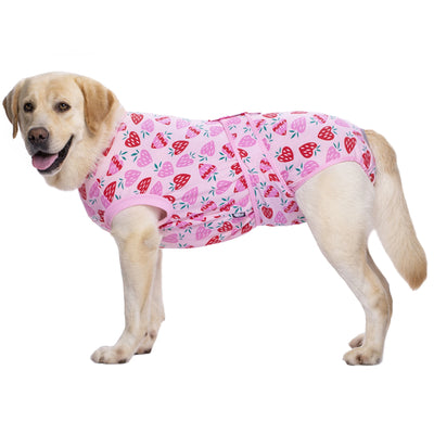 Body Post-Opératoire Chien Coton Imprimé Alternative Collerette