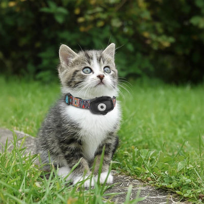 Collier GPS Chien 4G Alarme Anti-Perte Carte 1 An