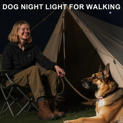 Lumière LED Rechargeable pour Collier de Chien