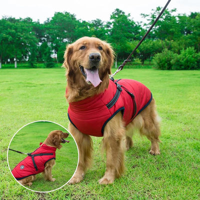 Manteau Polaire Hiver Harnais Intégré Chien