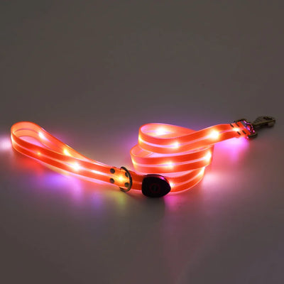 Collier et Laisse LED Lumineux pour Chien