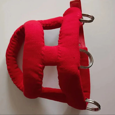 Harnais de Traction Polaire Double Boucle Métal Bouledogue