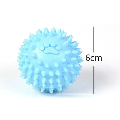 Balle à Picots Dentaire Jouet à Mâcher Chien 6 cm