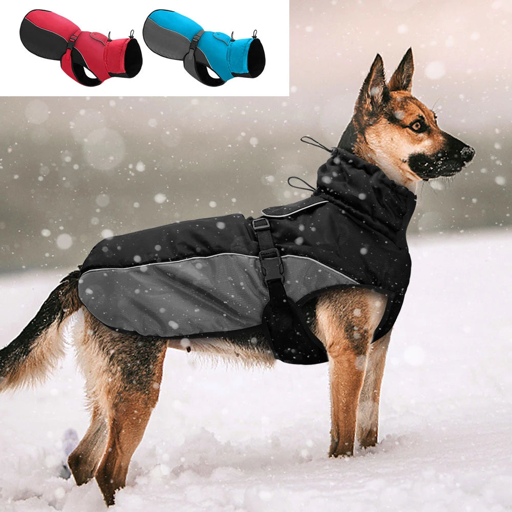 Manteau de Pluie Réfléchissant Grand Chien XL-6XL